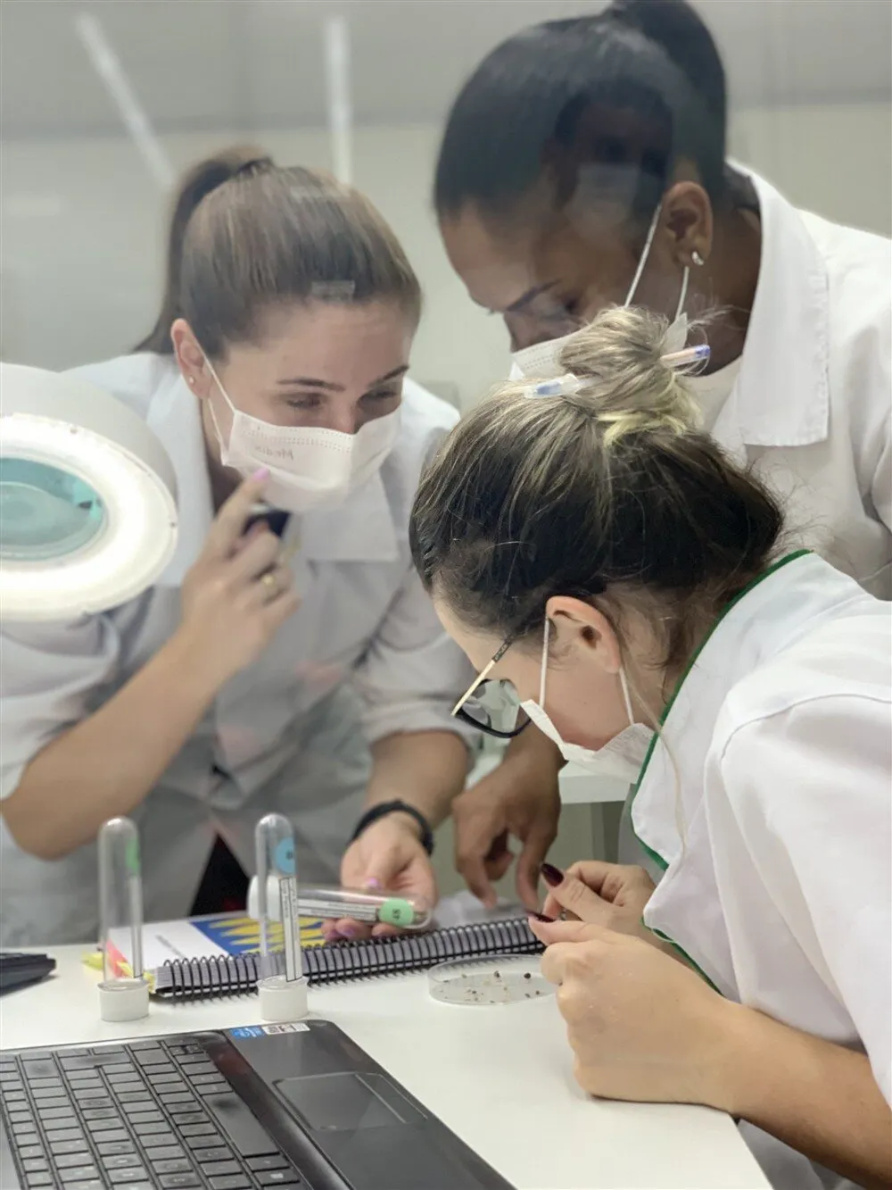 Equipe em laboratório de análise de sementes
